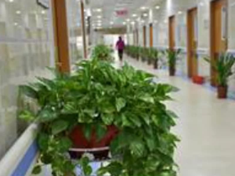 About Hospital